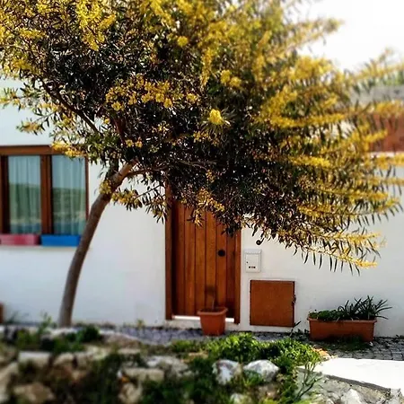 Selis 세페리히사르